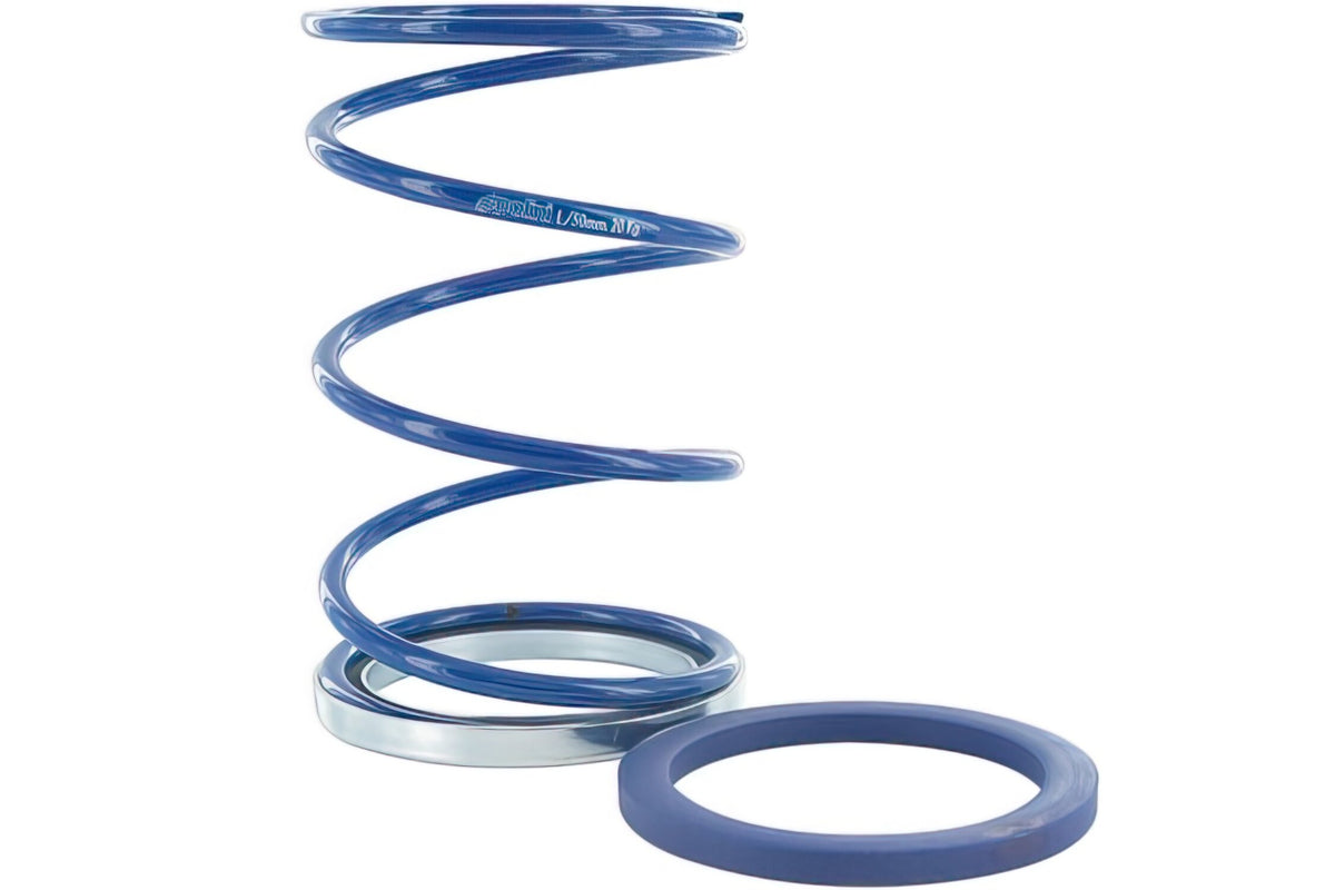 Torque Spring + Evo Slider Polini 3.9mm Piaggio