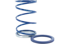 Torque Spring + Evo Slider Polini 4.1mm Piaggio