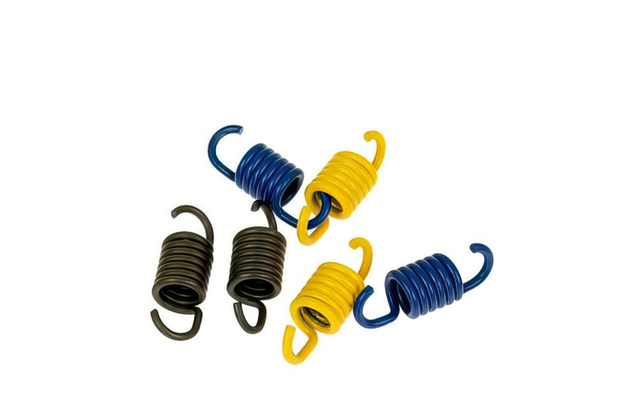 Clutch Springs Polini d=105mm