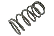 Stage6 R/T Spring Front Shock 100lb Piaggio Zip SP