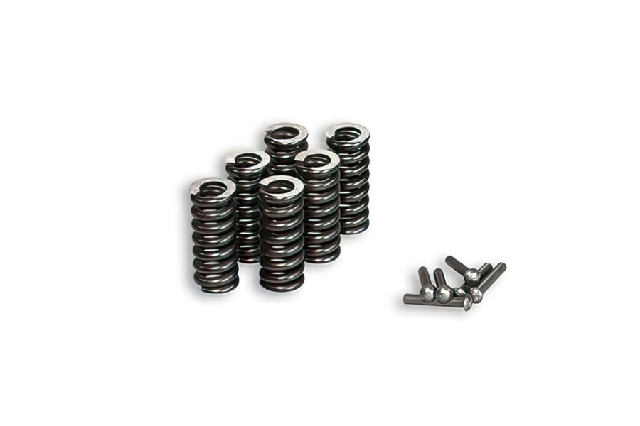 Clutch Springs Malossi M675235 - M673888 - M673730