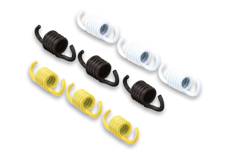 Clutch Spring Set Malossi (engines without variator)