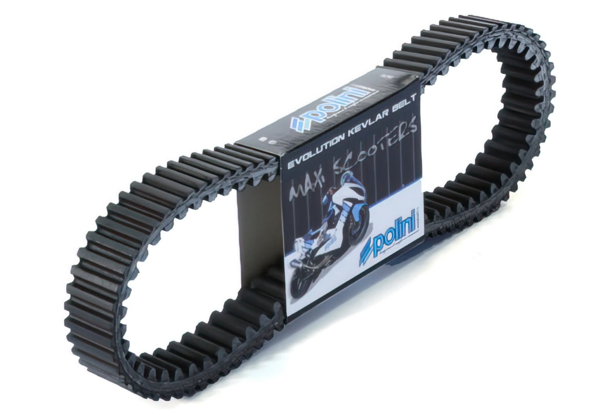 V-Belt Polini Maxi Evo Kymco AK 550