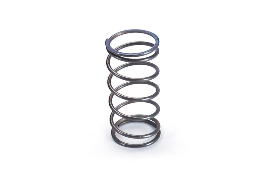 Torque Spring Polini Suzuki Katana / Aprilia Habana