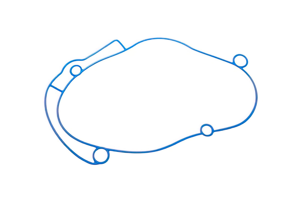Transmission Cover Gasket Polini Piaggio NRG / Typhoon