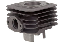 Cylinder Kit Polini Sport 50cc cast iron Piaggio AC