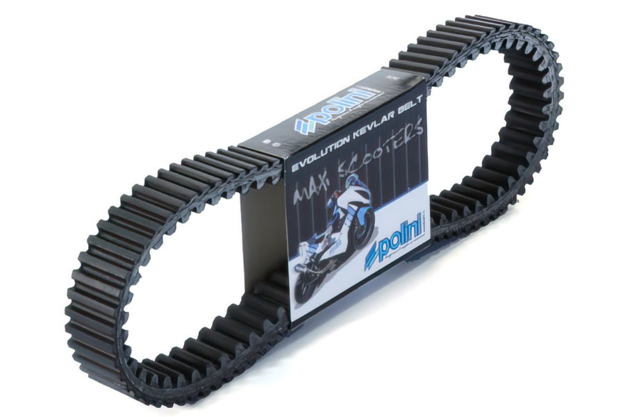 V-Belt Polini Evolution Aprilia Scarabeo / Piaggio Beverly 250-300