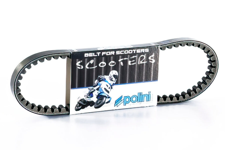 V-Belt Polini Original Piaggio TPH after 2011 / Scarabeo / Liberty
