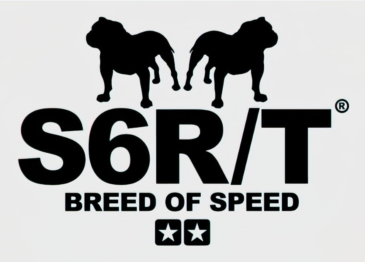 Sticker Stage6 R/T Breed of Speed black