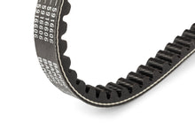 Drive Belt Stage6 Pro Belt Minarelli short (Yamaha Jog)
