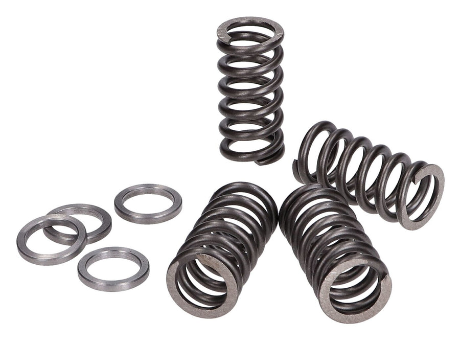 Clutch Springs Polini reinforced Minarelli AM6