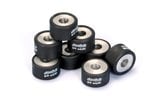Variator Weights (x8) Polini 25x17mm - 11,0g