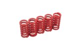 Clutch Springs KRM hard Derbi
