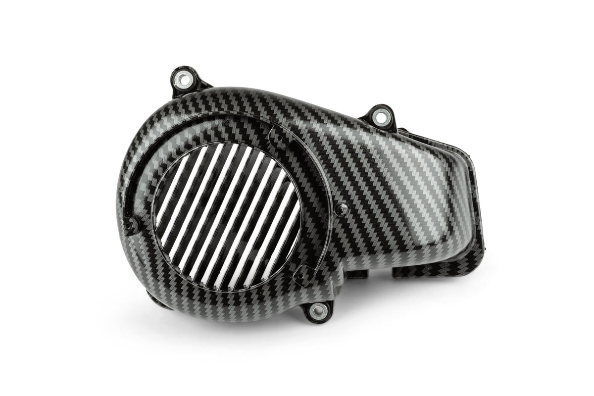 Fan Cover STR8 carbon Minarelli vertical from 2004