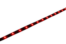 LED Strip STR8 red 60 cm