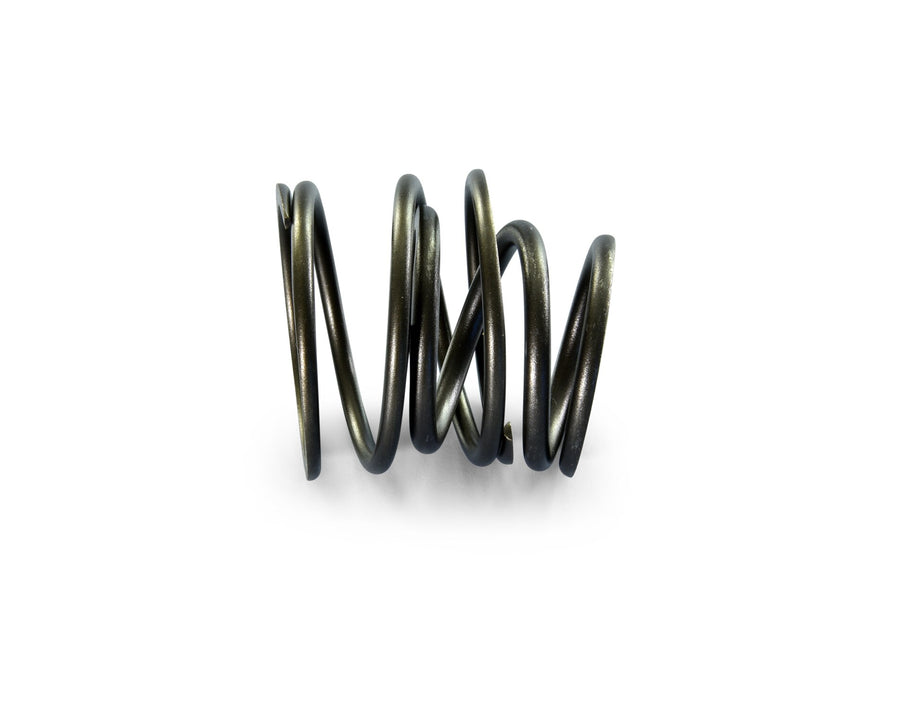 Clutch Springs Polini Vespa