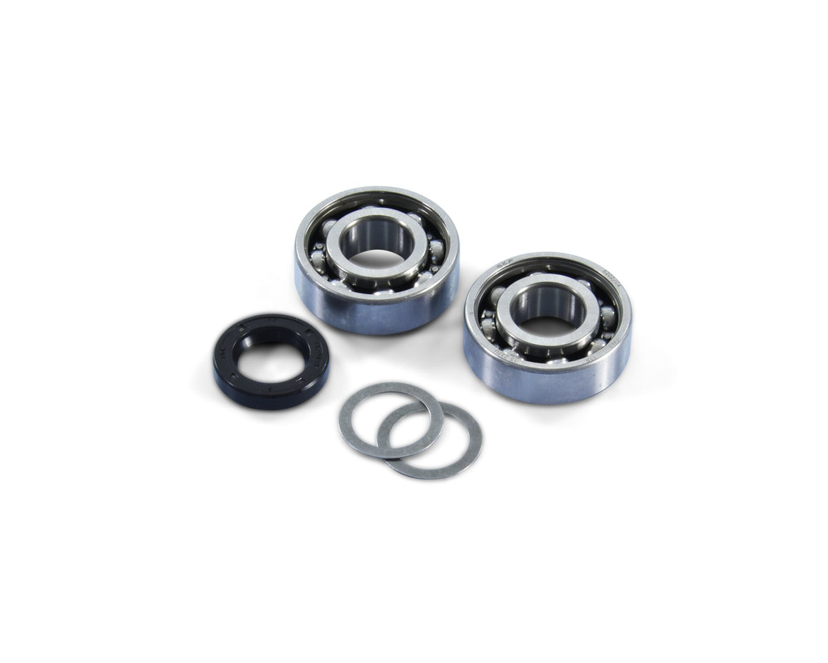 Crankshaft Bearings and Oil Seals Polini Piaggio Ciao