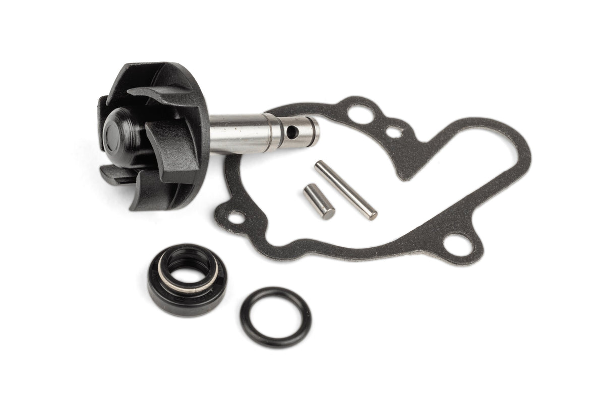 Water Pump Repair Kit Minarelli AM6