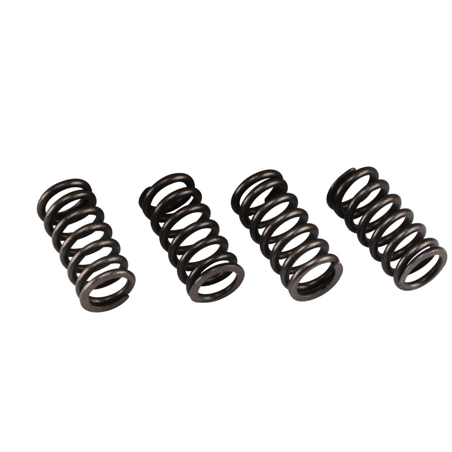 Clutch Springs Doppler Vortex AM6