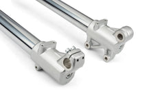Upside-Down Fork Motoforce Derbi X-treme 2018 - 2020