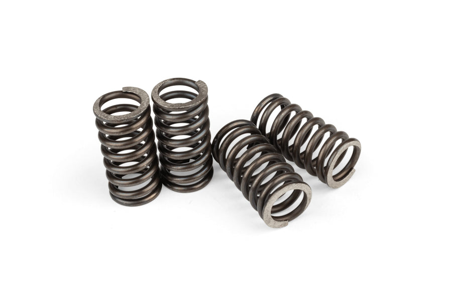 Clutch Springs OEM quality AM6