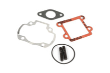 Cylinder Kit Polini Sport 50cc cast iron Minarelli vertical