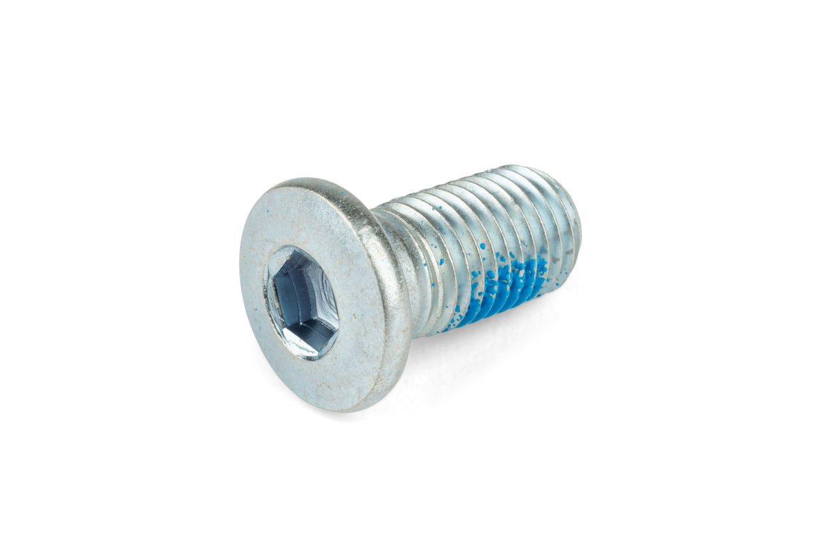 Brake Disc Screw M10x1.25x15mm