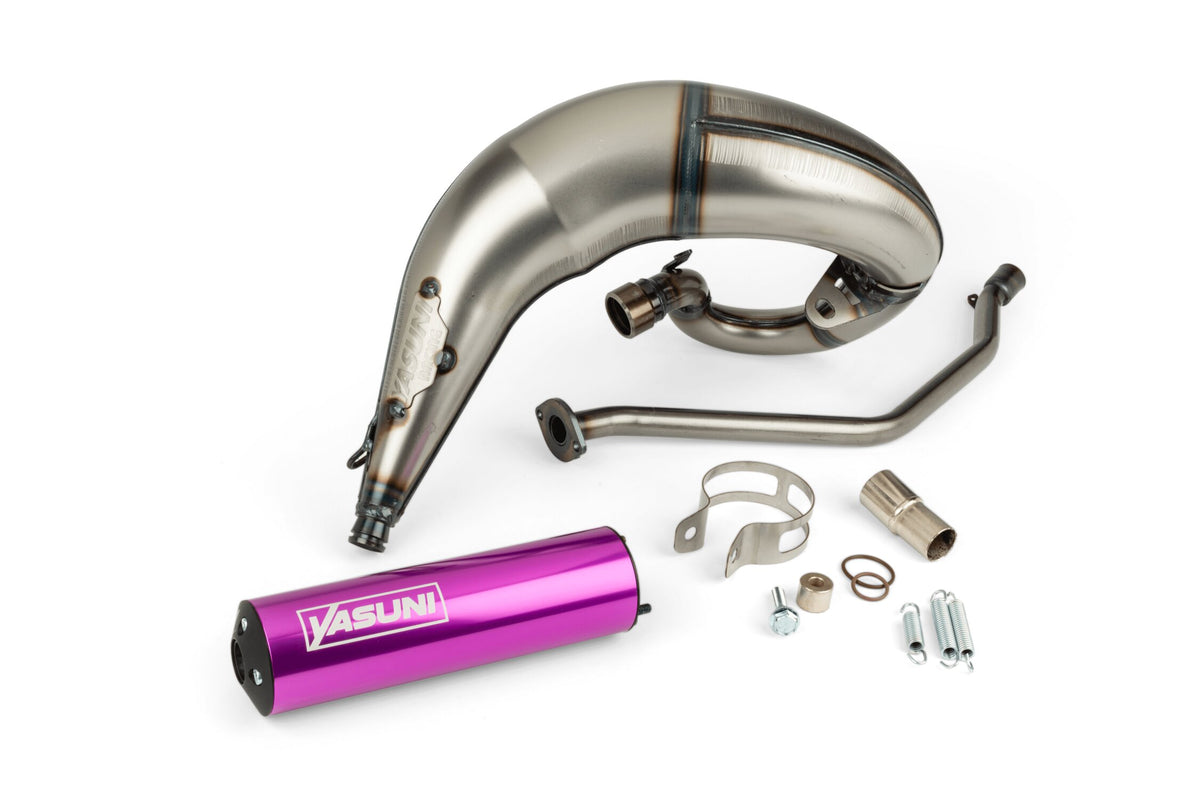 Exhaust Yasuni Cross ML Beta RR 2010 - 2020 Purple