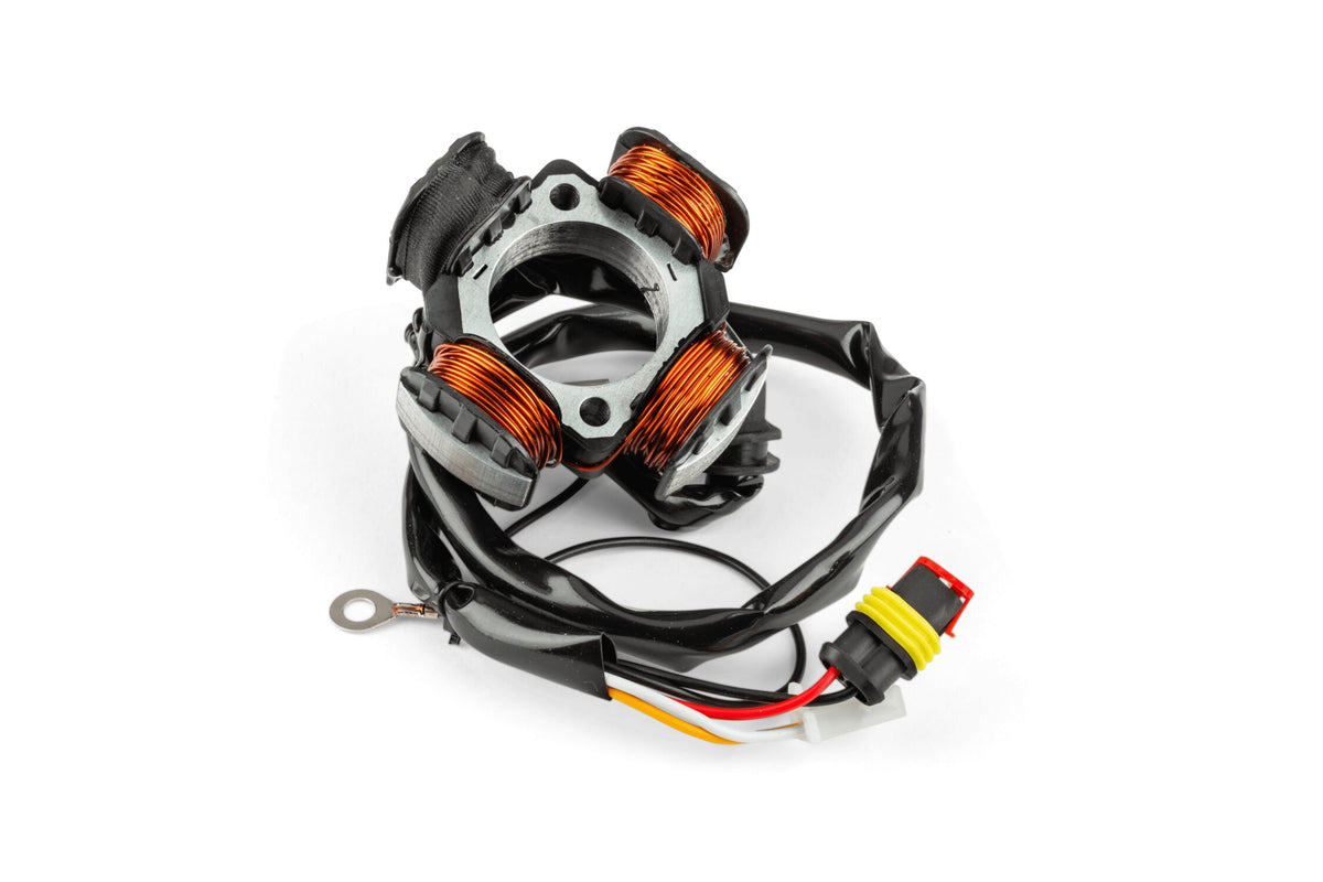 Ignition Stator Motoforce Hidria Beta RR 2005 - 2012
