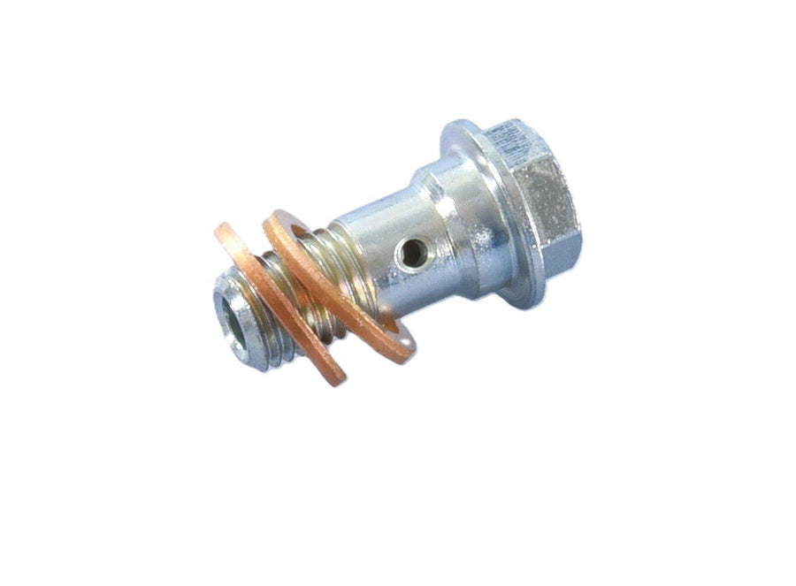 Banjo Bolt Polini M8 x 1 D.10