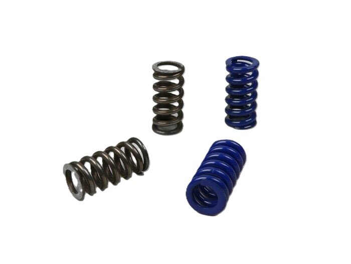 Clutch Spring Set Polini Speed Clutch 2G EVO2
