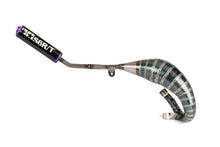 Exhaust Stage6 R/T 70 - 80 Beta RR before 2021 Black / Purple