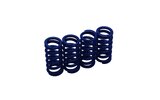 Clutch Springs KRM medium Derbi
