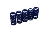 Clutch Springs KRM medium Minarelli AM6