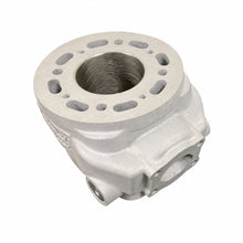 Cylinder (solo) Bidalot Racing Factory 80 WR Minarelli AM6