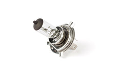 Headlight Bulb STR8 halogen HS1 12V - 35/35W PX43T white