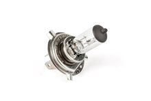 Headlight Bulb STR8 halogen HS1 12V - 35/35W PX43T white