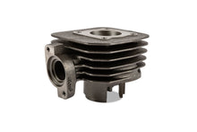 Cylinder Kit Polini 50cc cast iron Peugeot horizontal AC