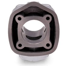 https://cdn.shopify.com/s/files/1/0860/6223/5959/files/9928030_16.jpg?v=1750260127