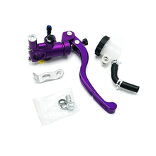 Radial brake pump with expansion reservoir VOCA Racing